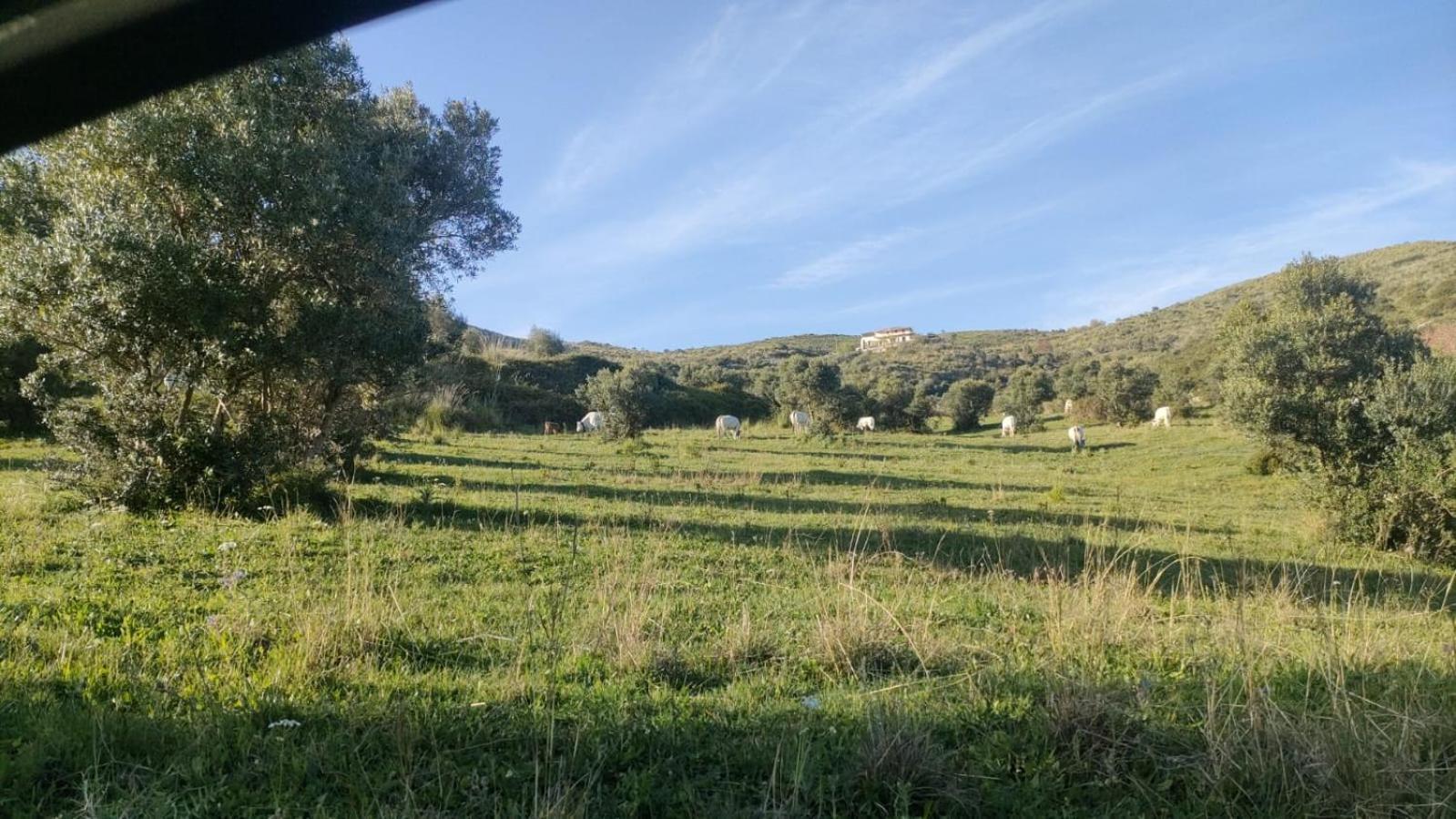 Il Panorama Housing Cilento Aparthotel Santa Maria di Castellabate Buitenkant foto